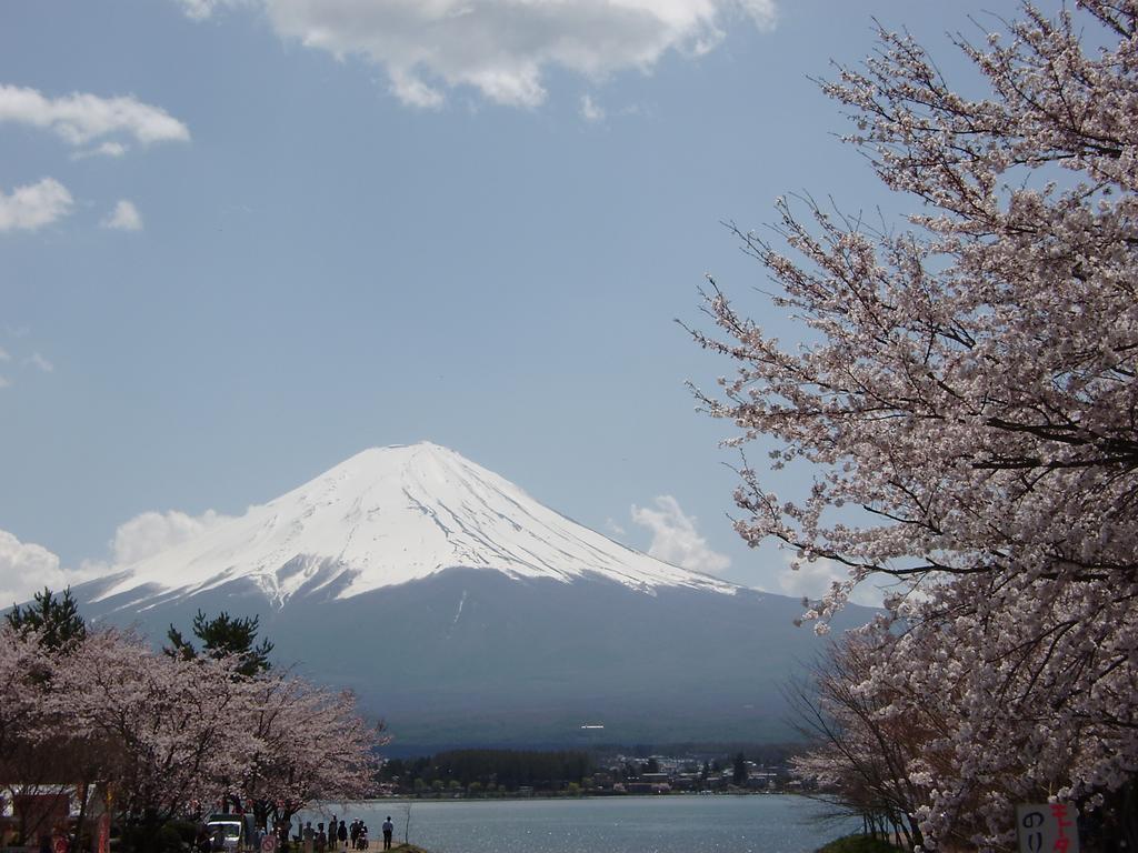 貸別荘 ルピナス 河口湖 富士河口湖町 エクステリア 写真