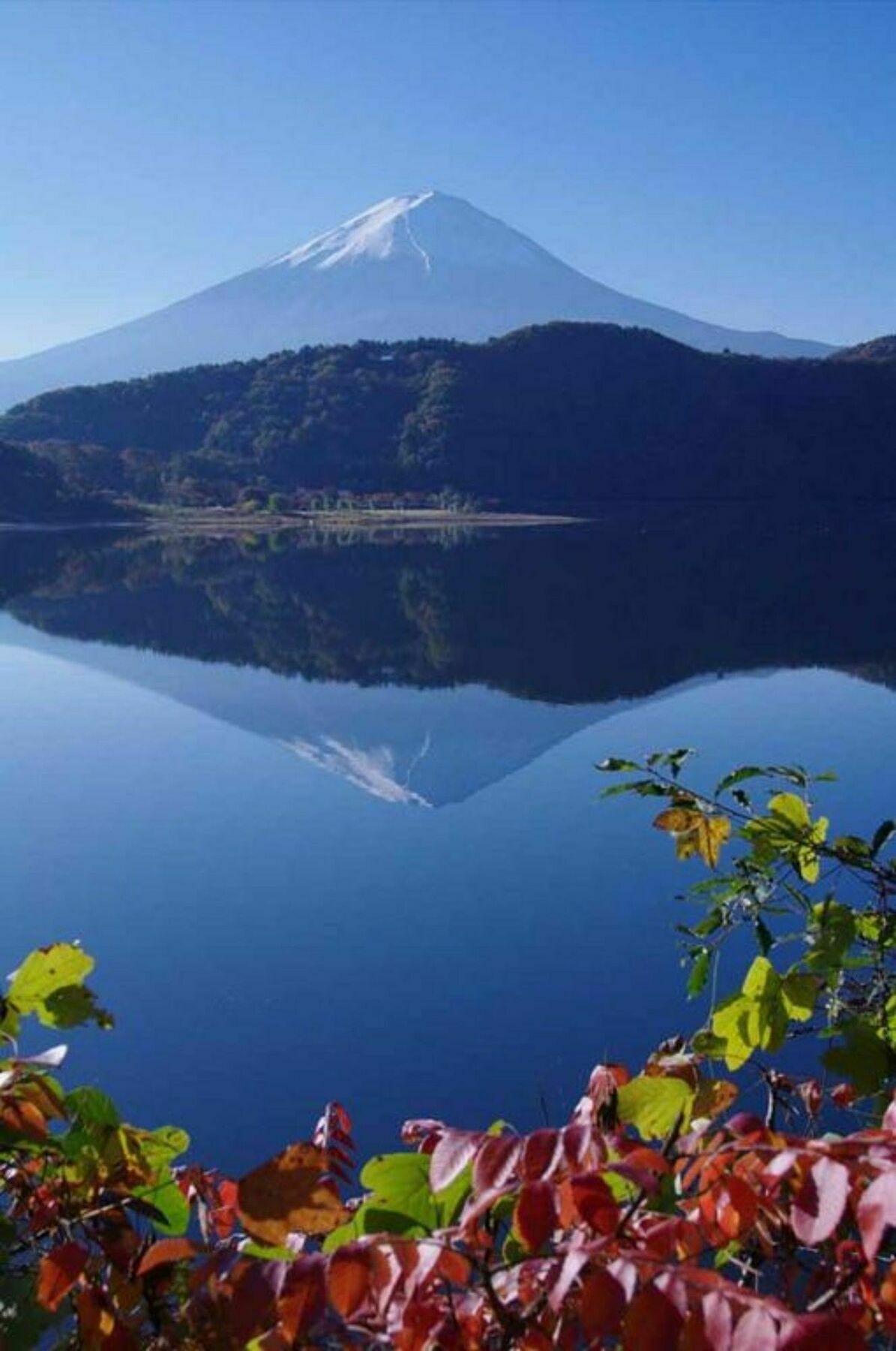 貸別荘 ルピナス 河口湖 富士河口湖町 エクステリア 写真